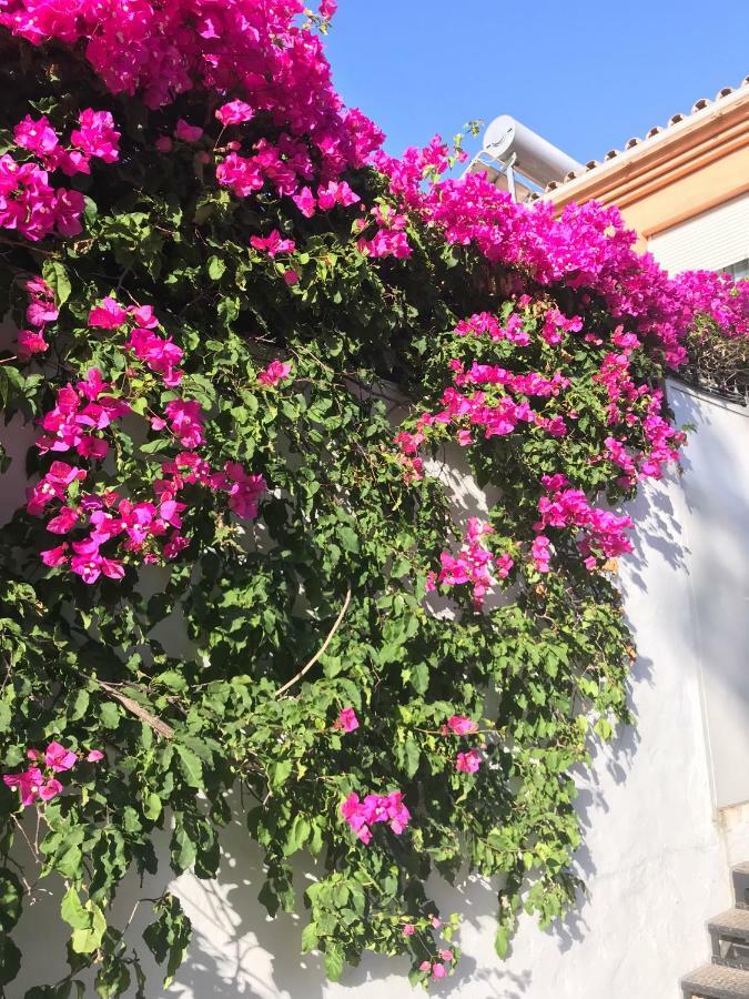 Holiday home Casa Milo Nerja